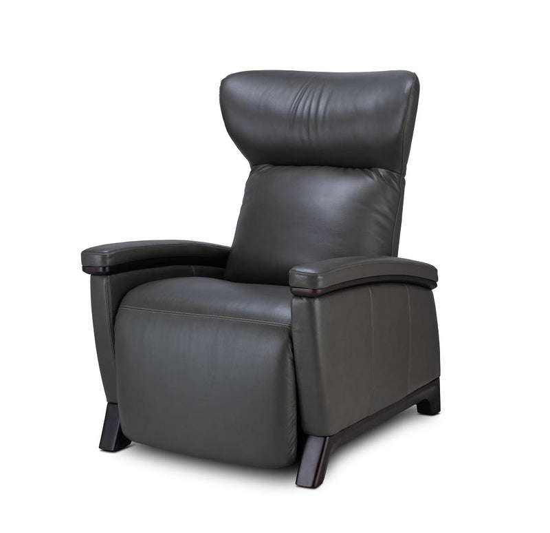 Svago Motion Mastery Zero Gravity Recliner